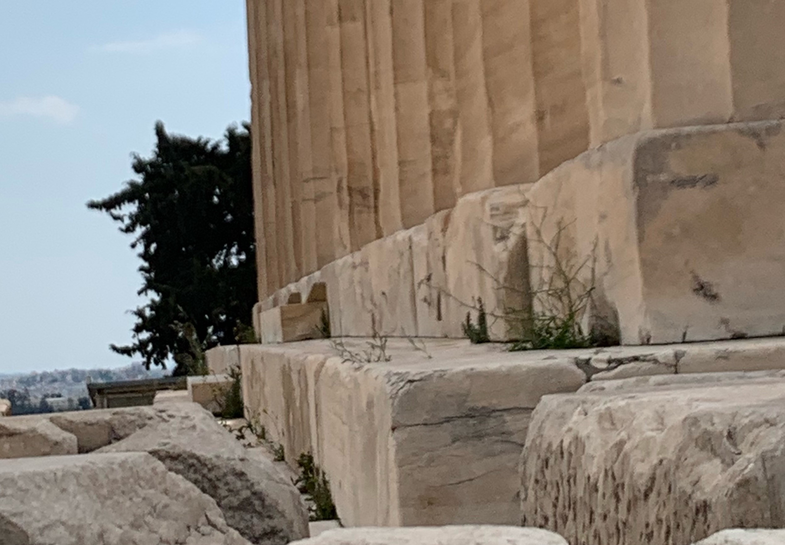 Photograph showing the curve of the floor of the Parthenon.