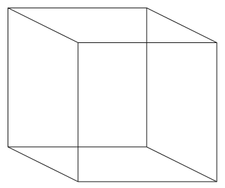 Image of the Necker Cube, two squares of the same size, one down and to the right with each respective corner connected.  It appears to be a 3 dimension picture of a cube.