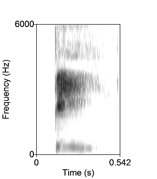 Sound spectrogram of 'Bee'.