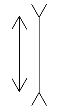 Illustration of the Müller-Lyer illusion