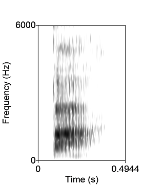 Sound spectrogram of 'Bah'.