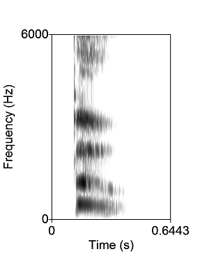Sound spectrogram of 'Bo0'
