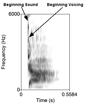 Sound spectrogram showing the syllable 'Da'.
