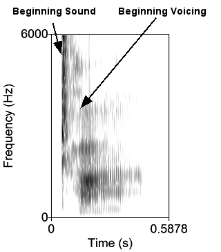 Sound spectrogram showing the syllable 'Ta'.